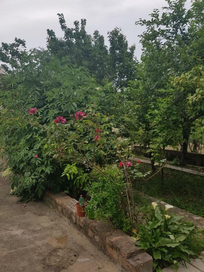 "Il Nespolo" Villa Scauri  Kültér fotó